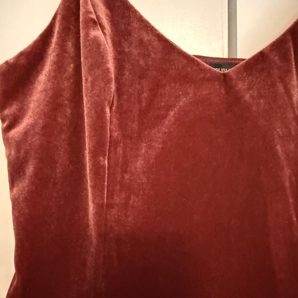 Banana Republic Rust Velvet Cami Top Adjustable Straps Fitted XS - Picture 4 of 11